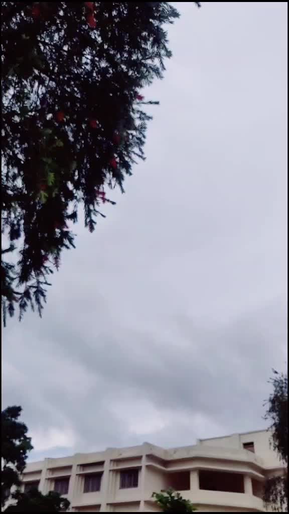 @Shaikh Sajid Shaikh