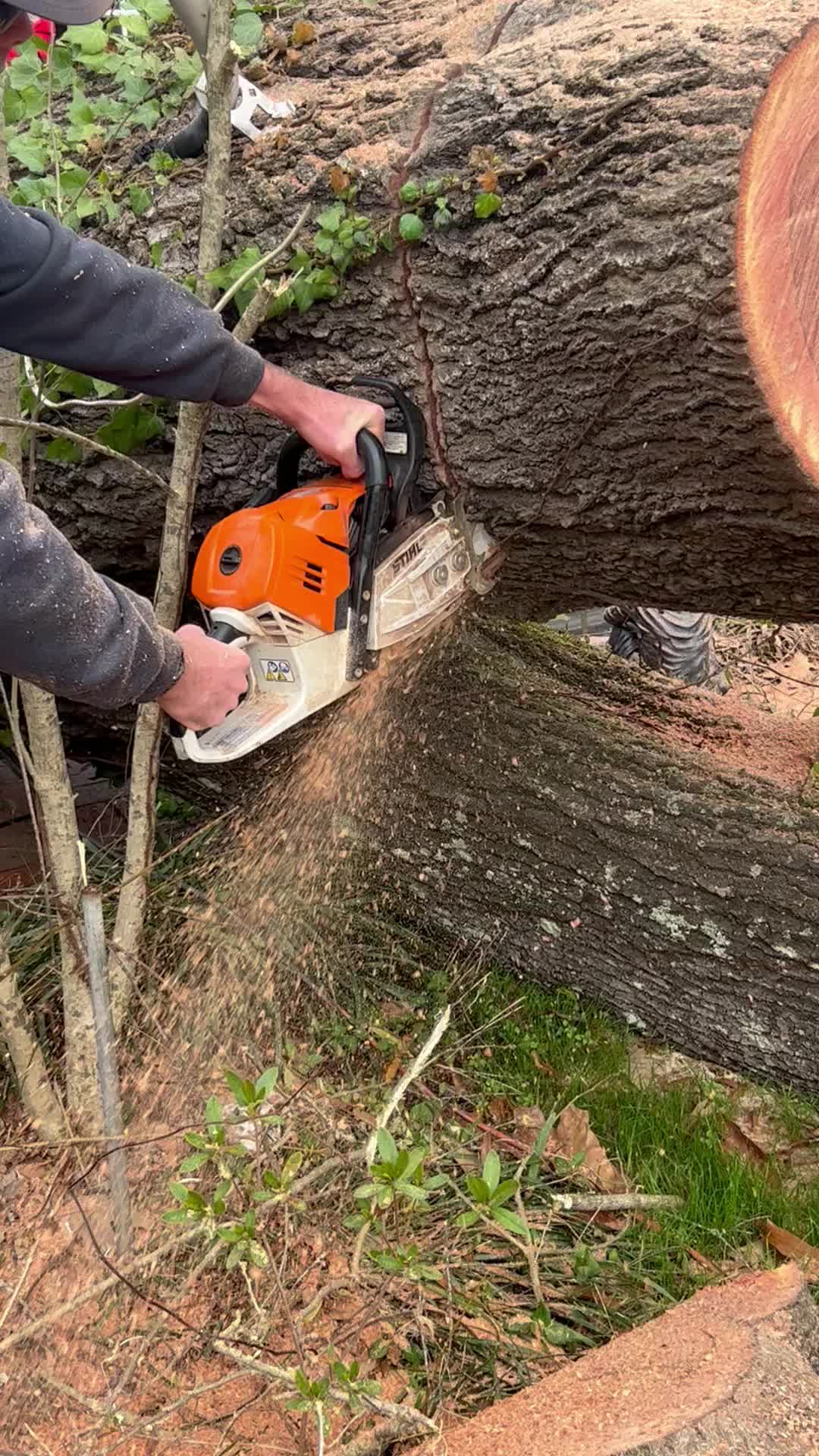@R&G tree and landscaping