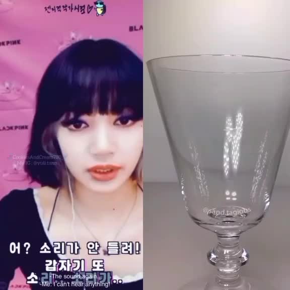 @blackpink