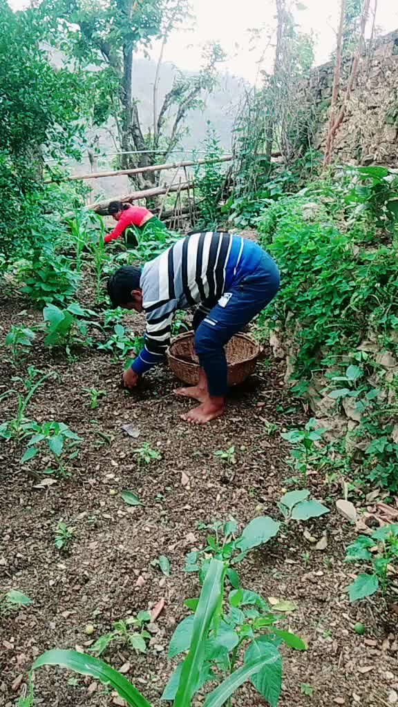 @chandu.aswal