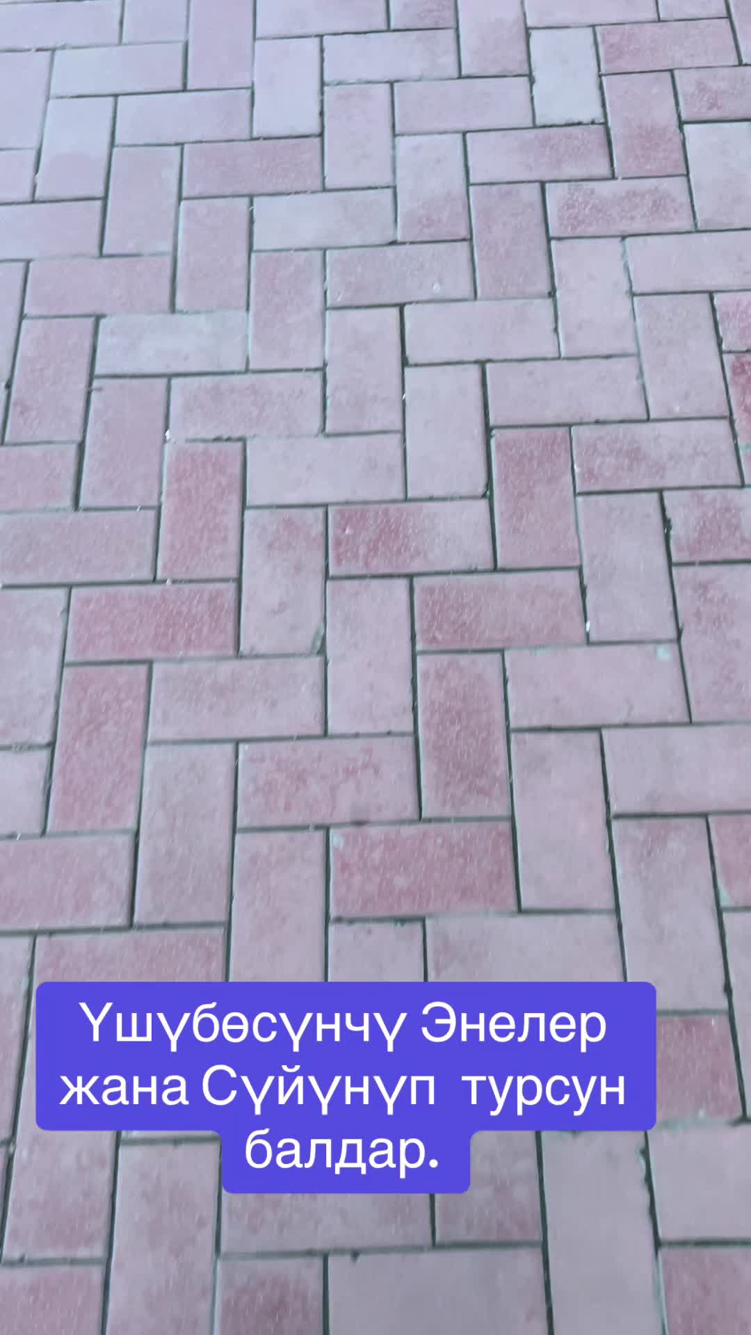 @EDIL KASENOV