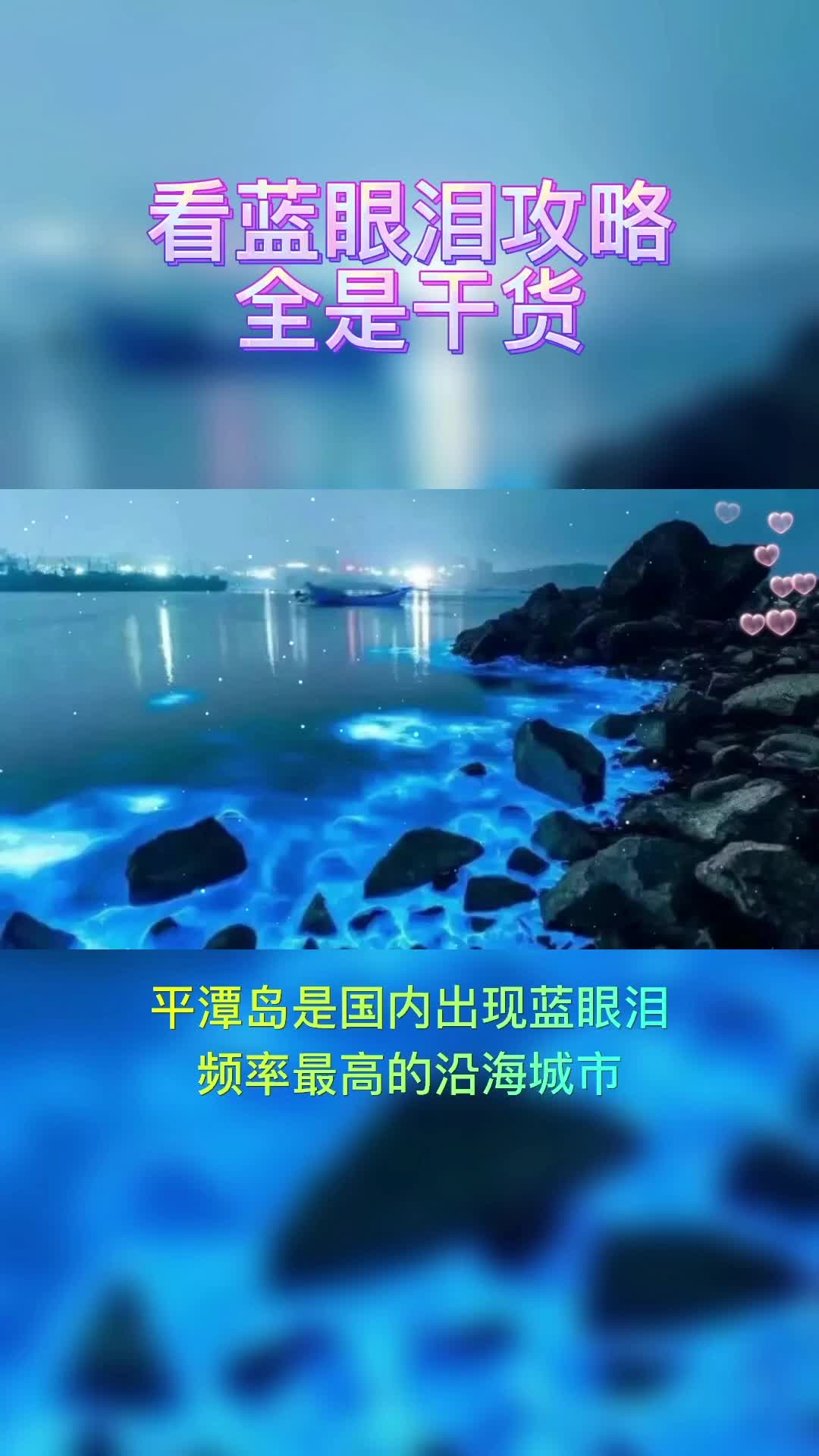 @an95999