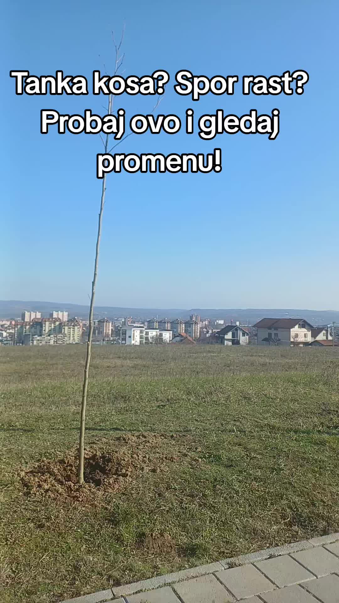 @Kruna sjaja