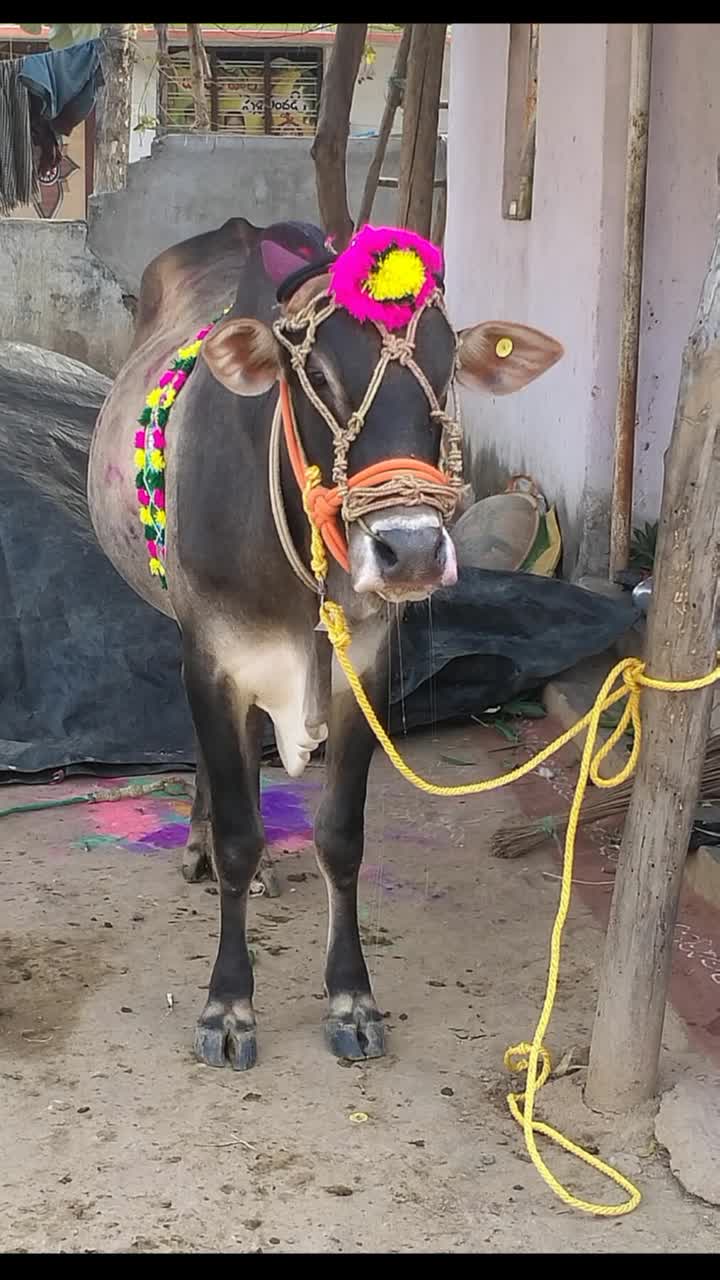 @user7147412694787