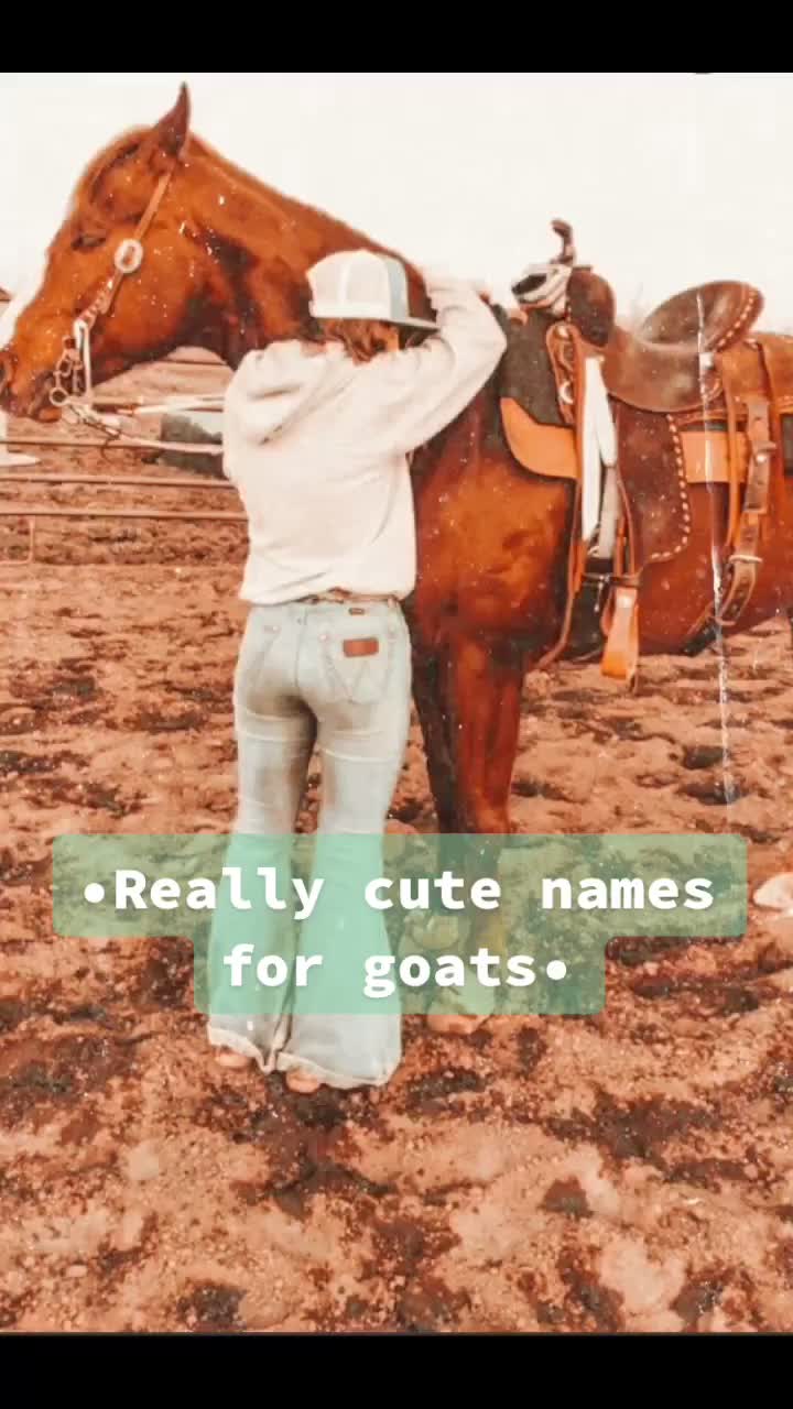 @KYLA 🐎🛢