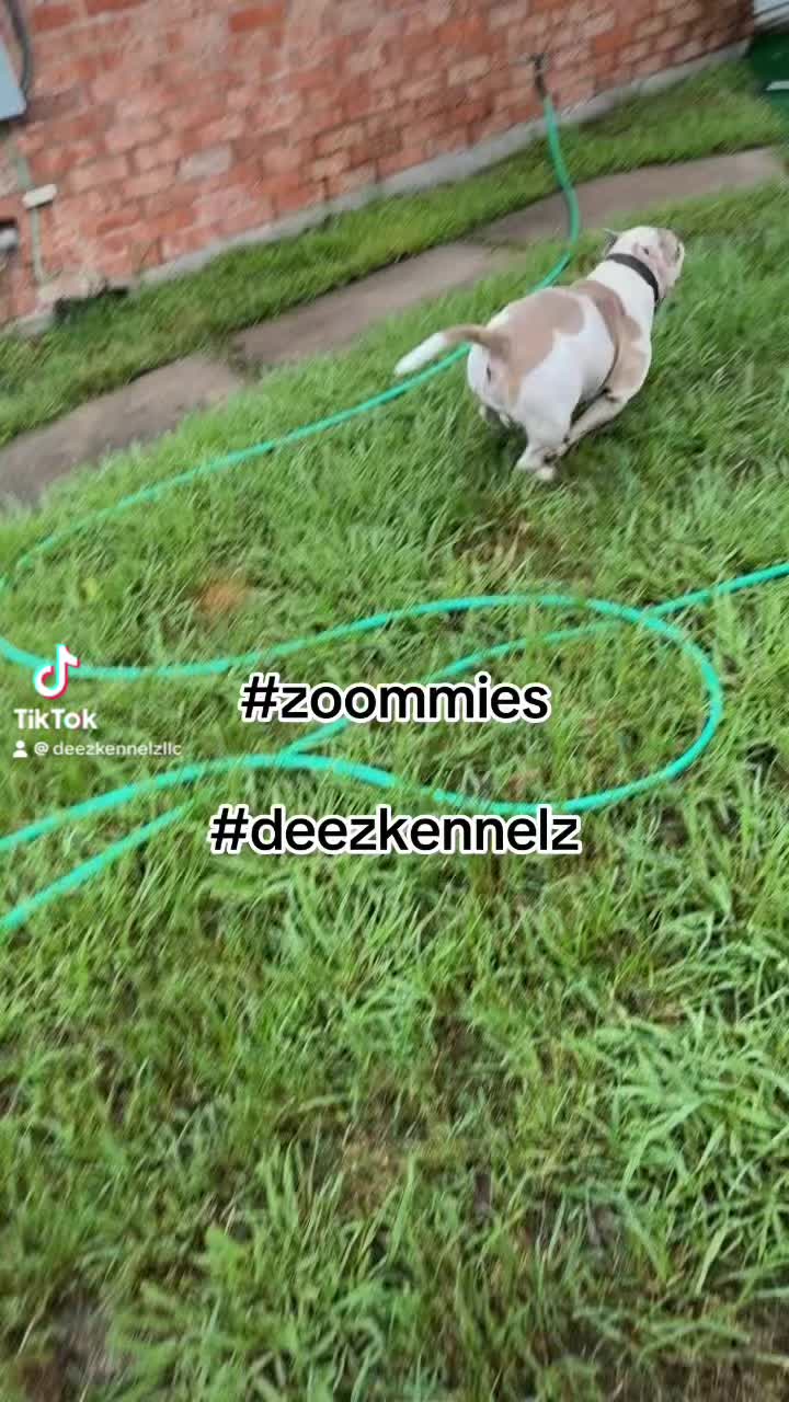 @Dee.Tha 🅿️