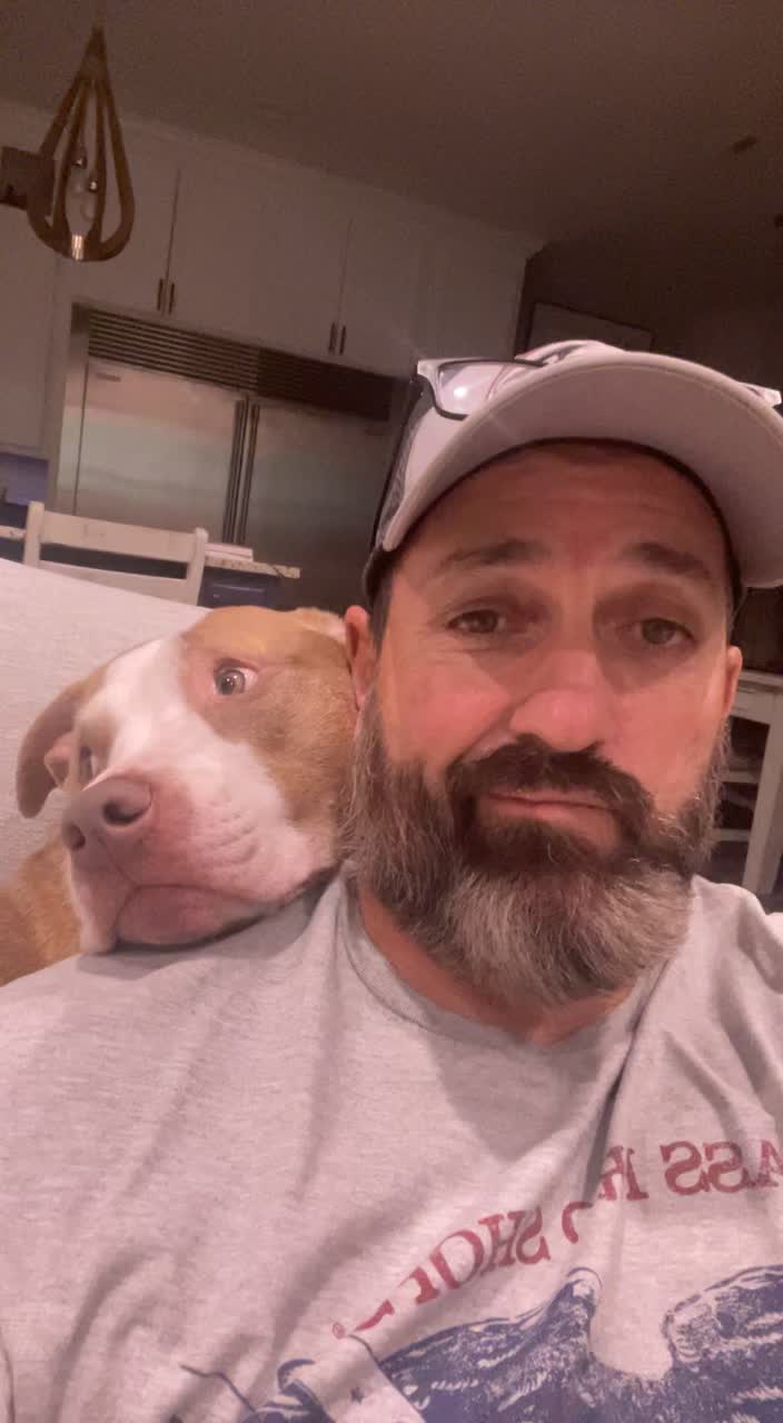@odog_dogo