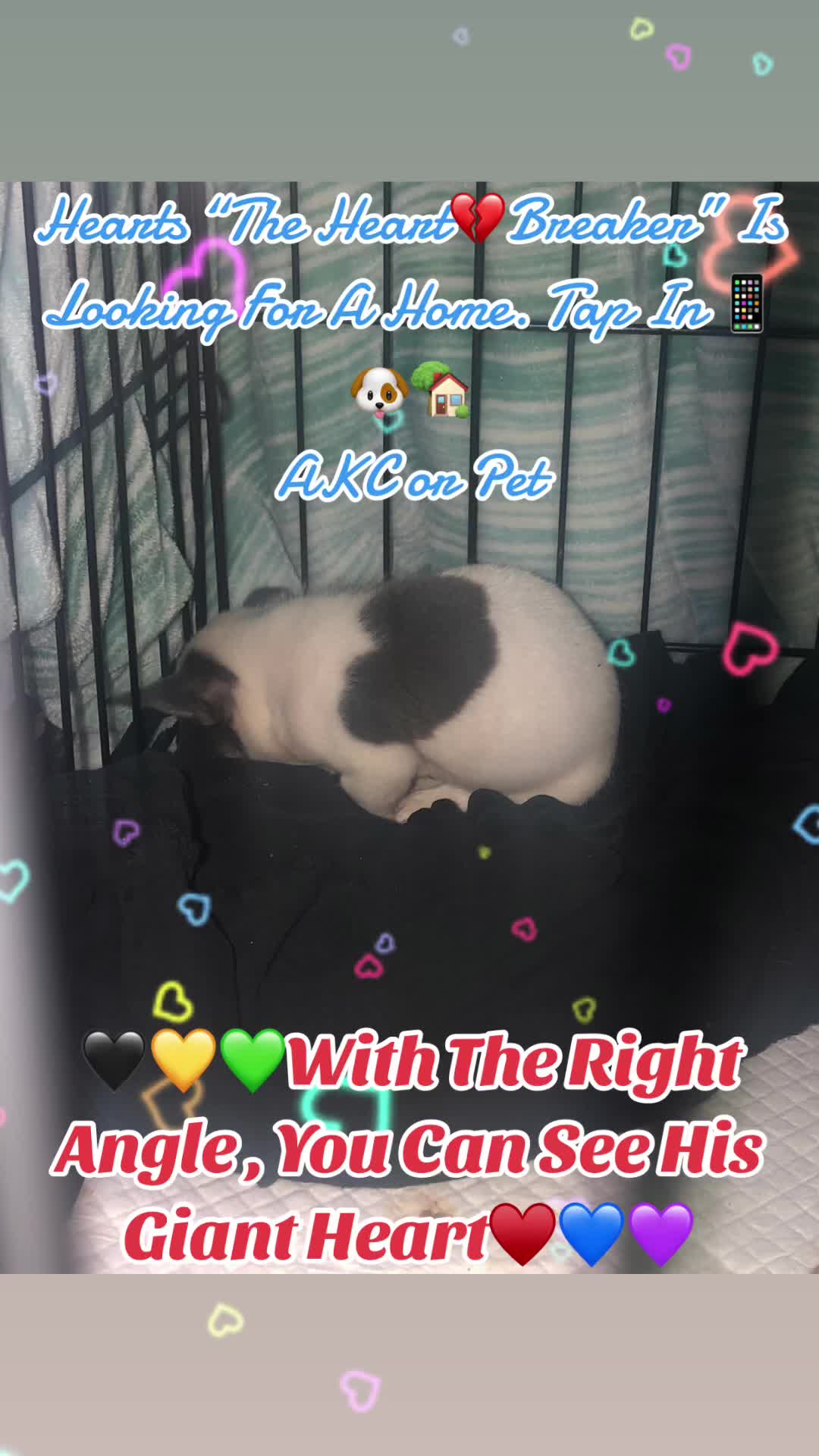 @RaisingMiracle23