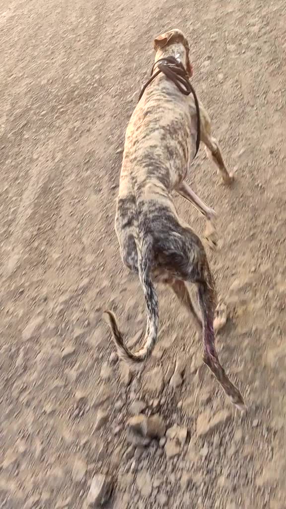 @_Abhijit_
