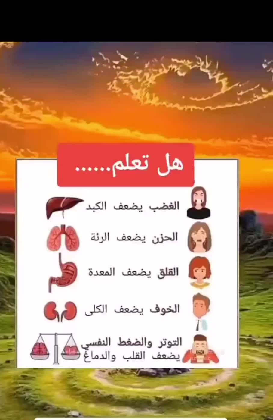 @HANAN MAHDi