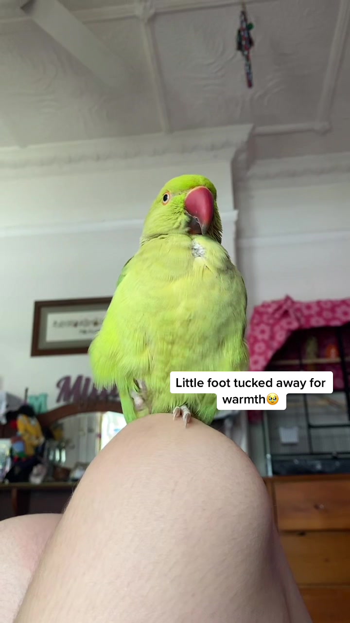 @millieandloki