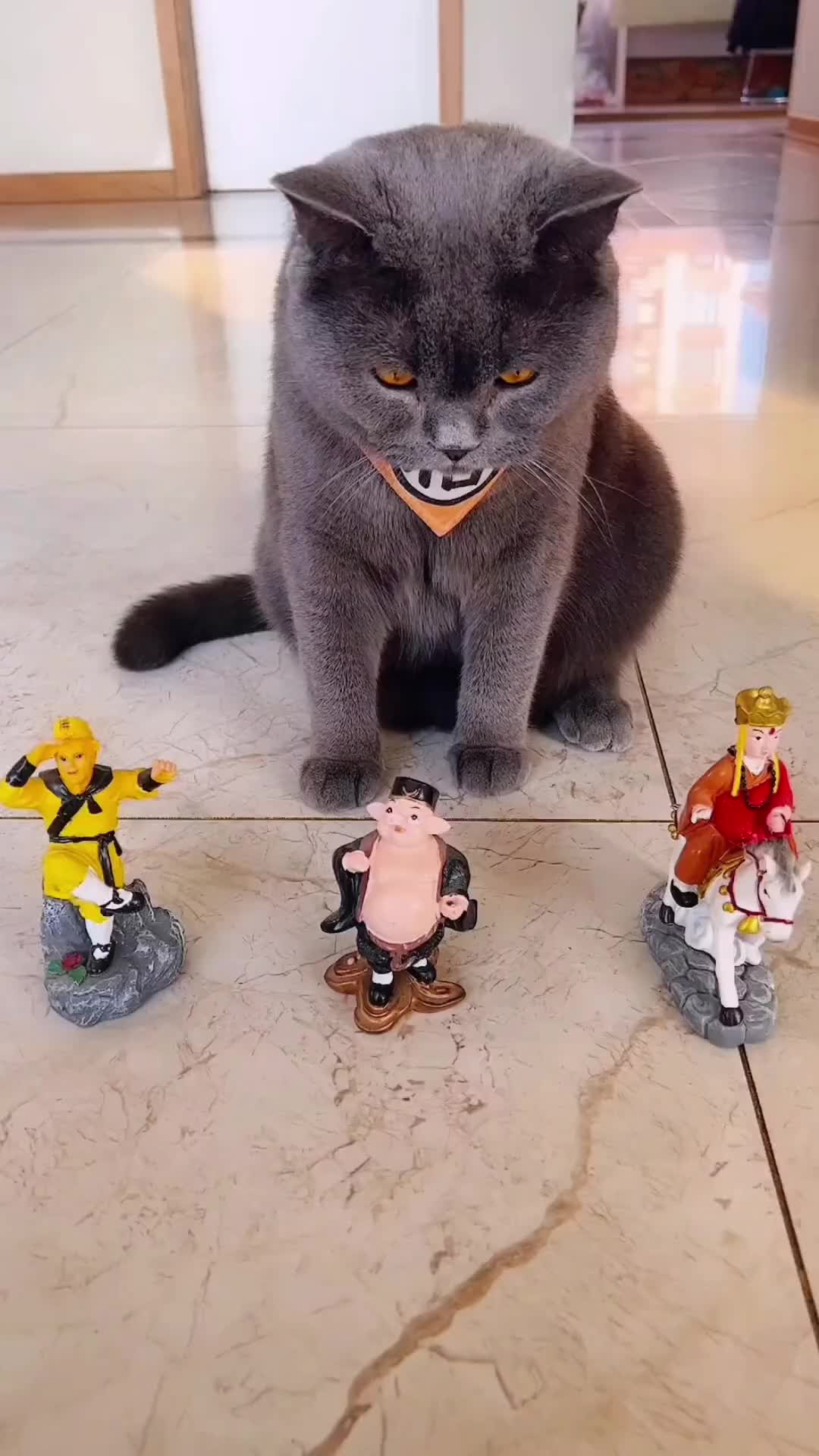 @dfhdhhd22