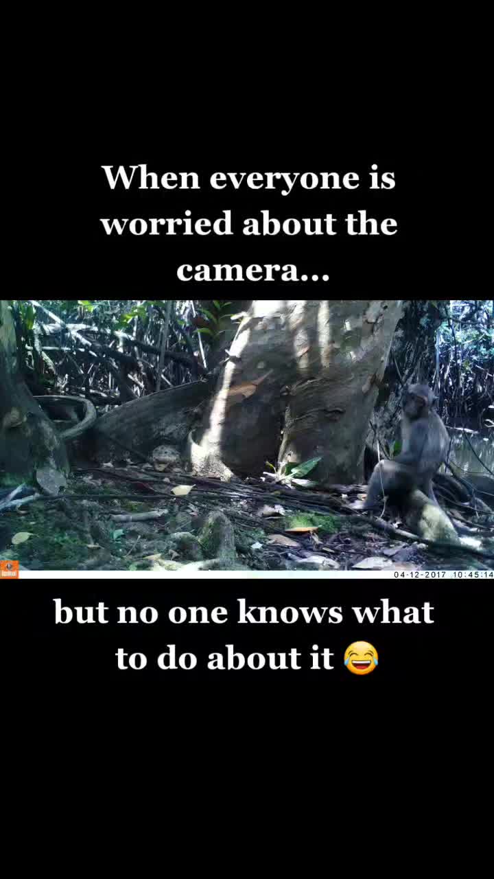 @Fishing Cat Conserv. Alliance
