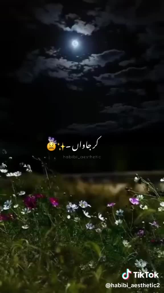 @Reeham Nadeem