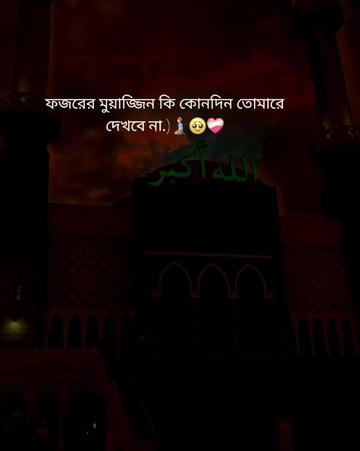 @mdlitonahmed380