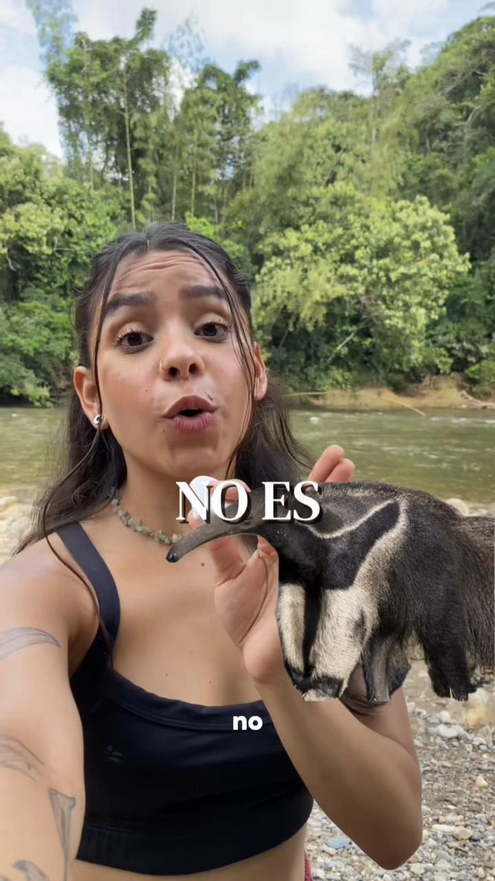 @Biocattleya | Divulgación 🍄