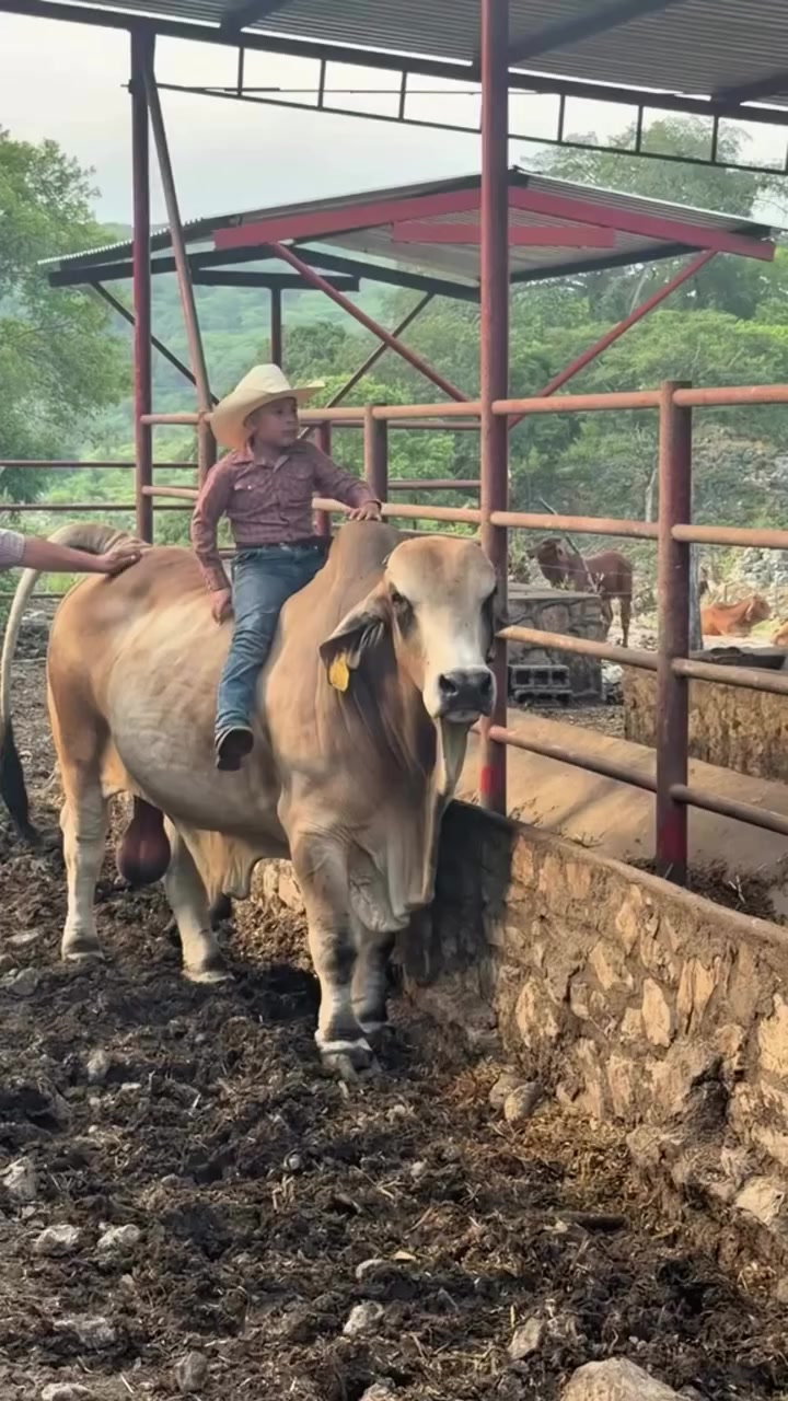 @Rancho Piedra Nube