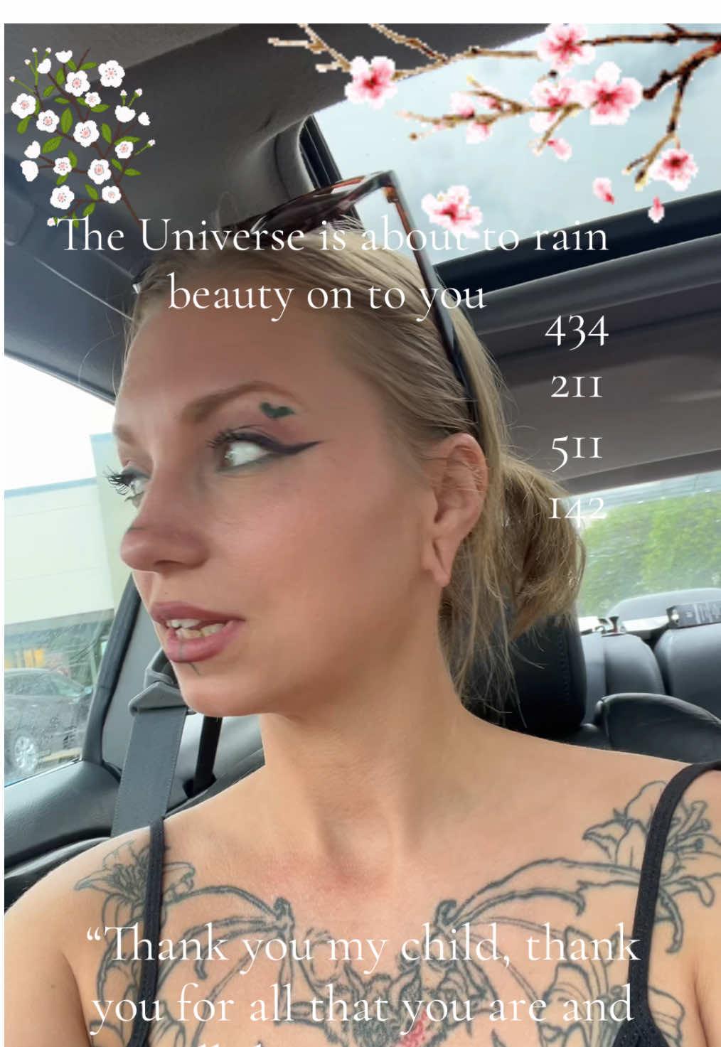 @ceilestewart