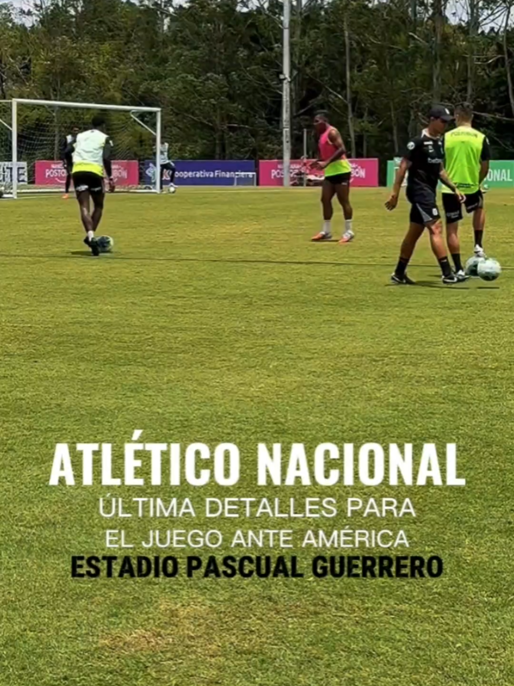 @NOTICIAS DEL VERDE