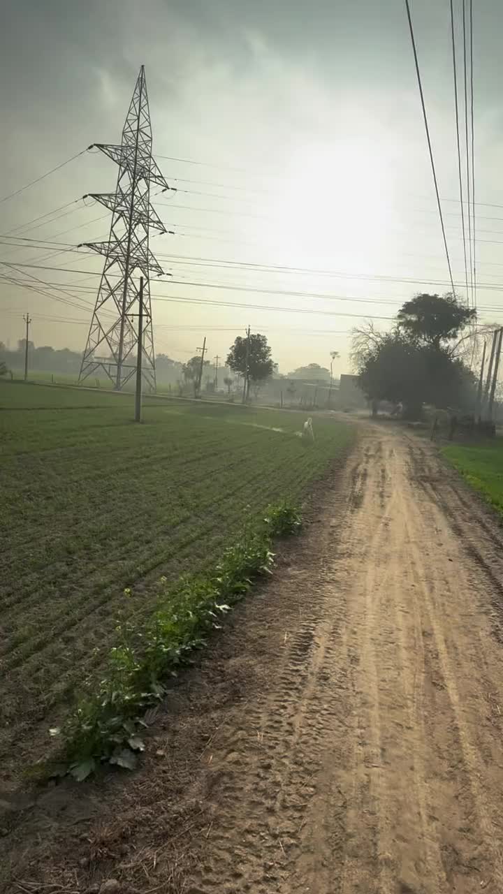 @شوق۔ پنجاب دا🐴🐴