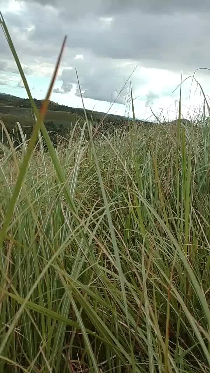 @Nakamura