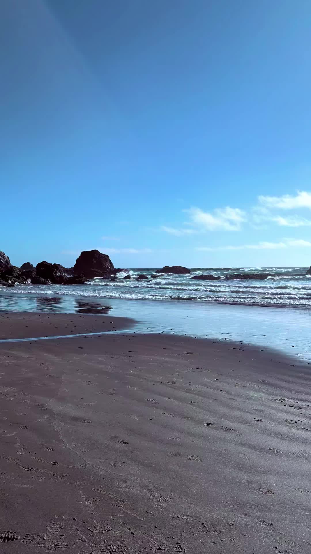 @lady_lostmind