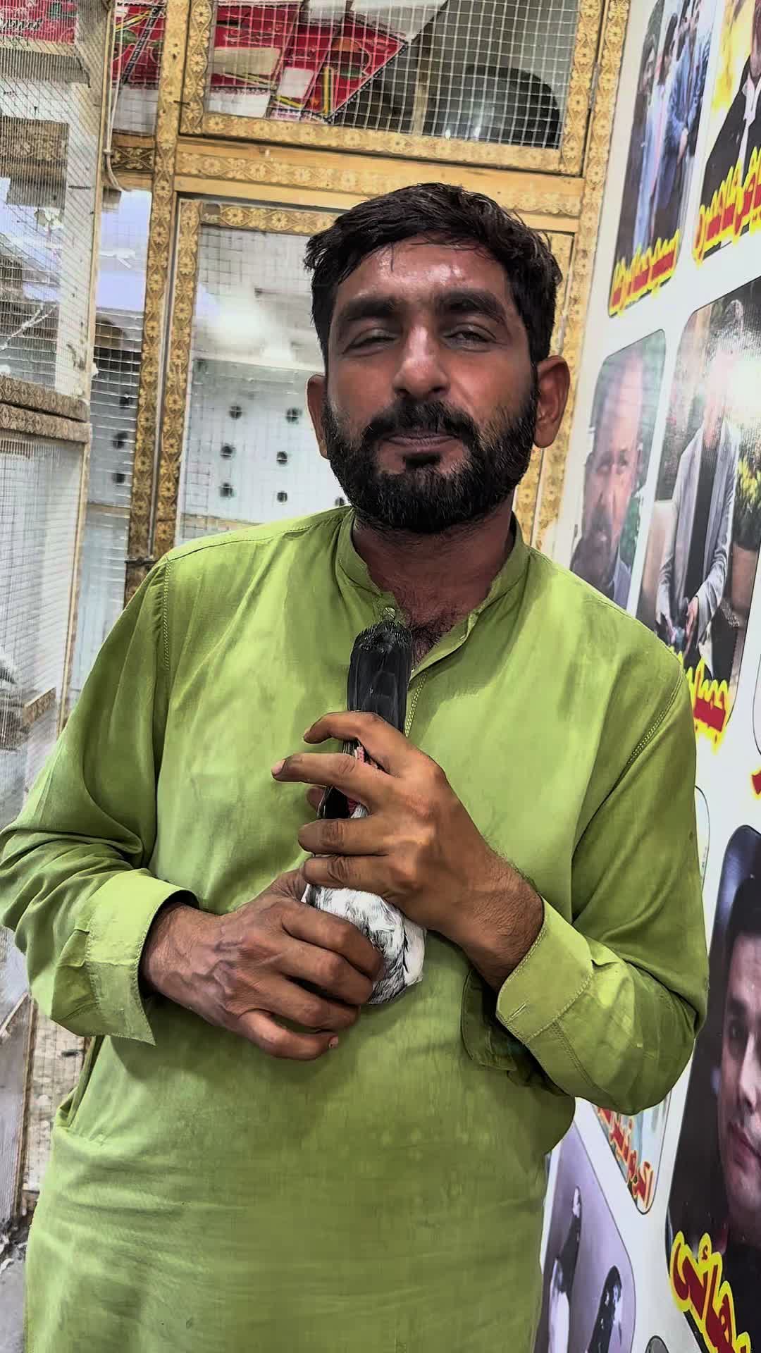 @Lahore Pigeon