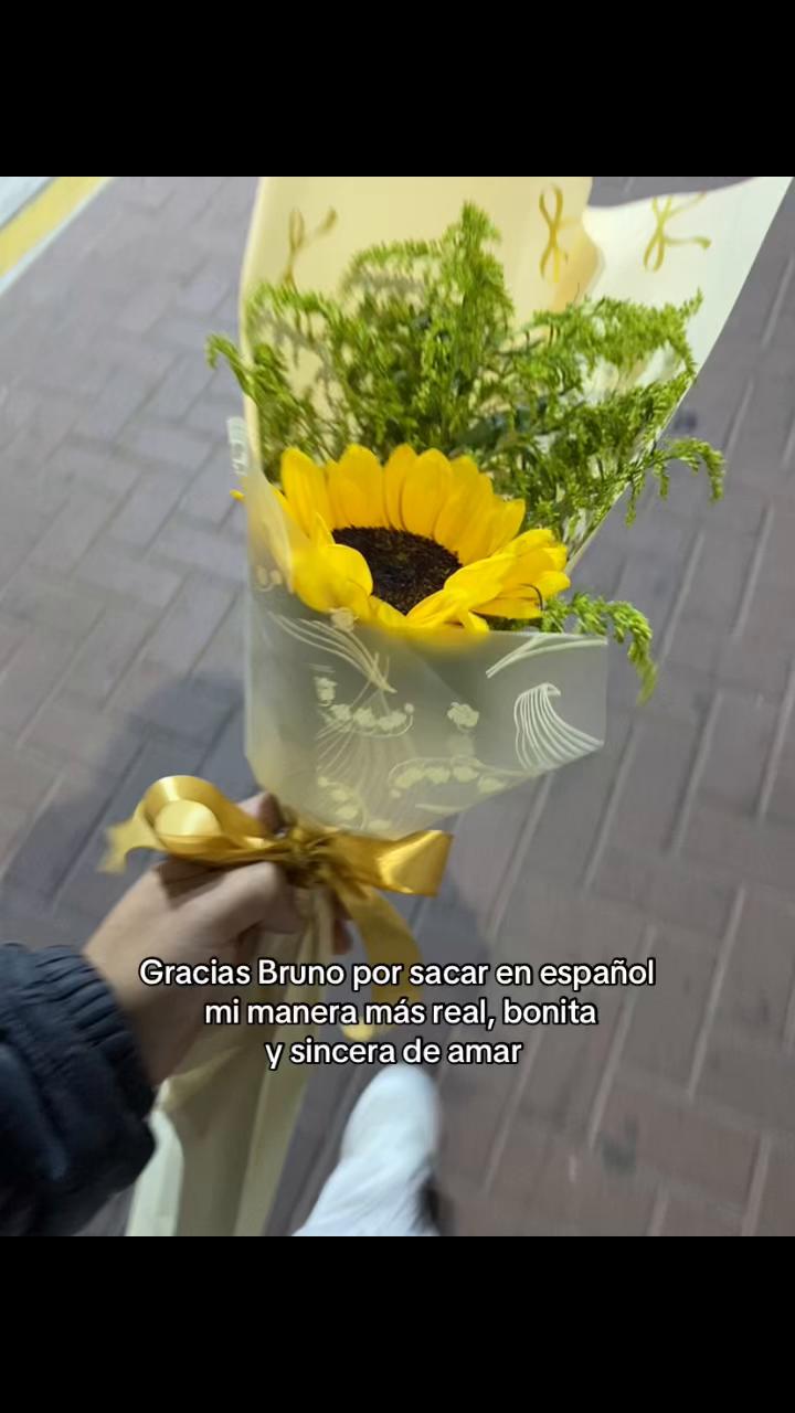 @Micss