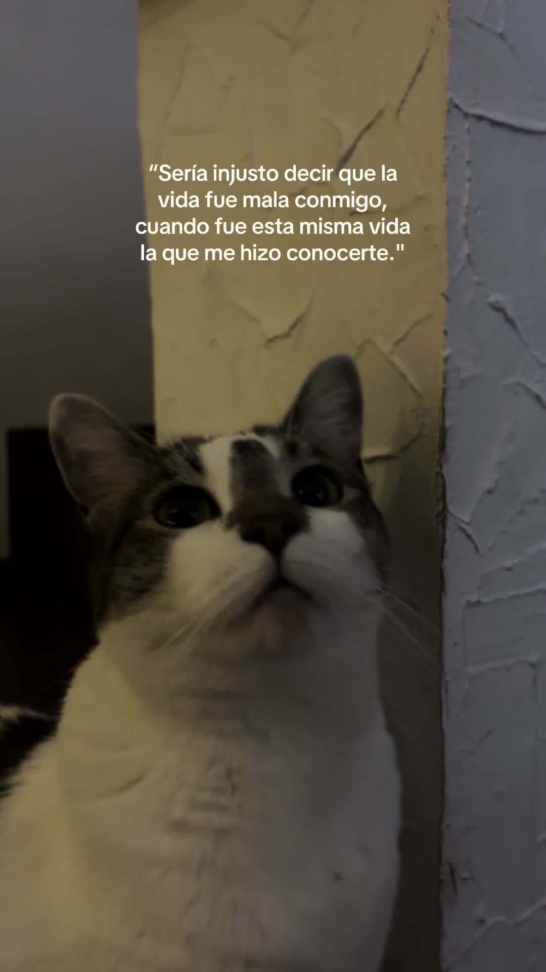 @Marianne JH