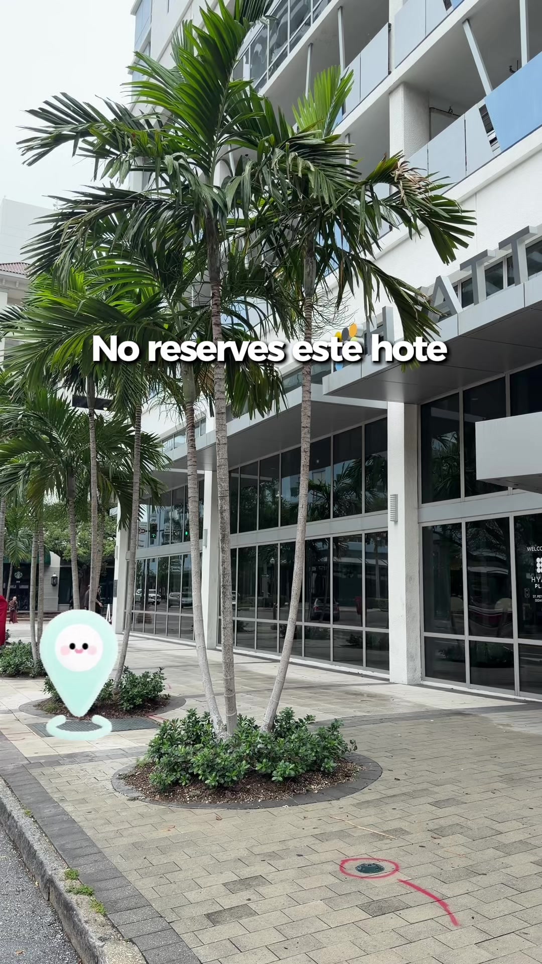 @Vivi Enciso