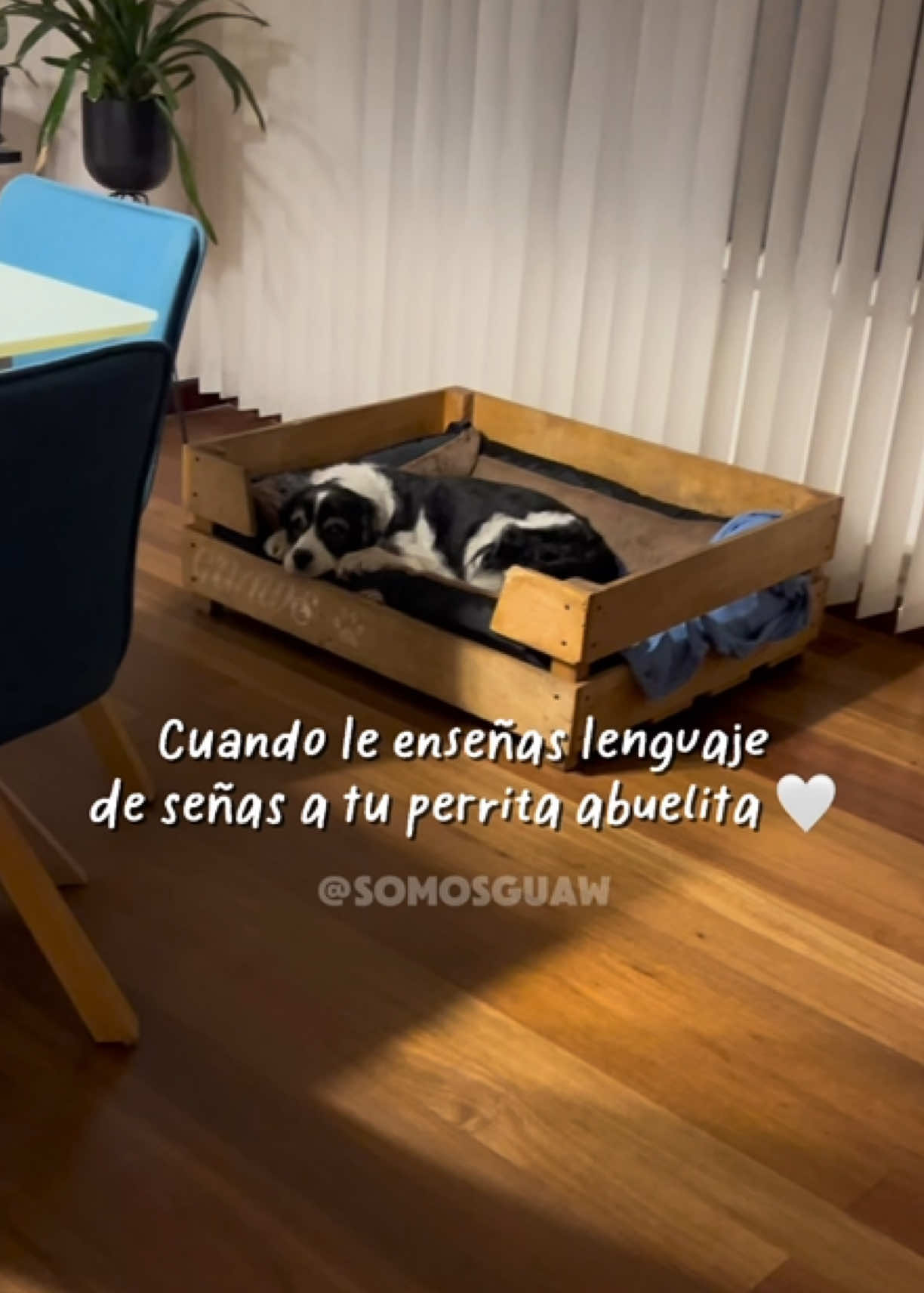 @Somos Guaw educación camina