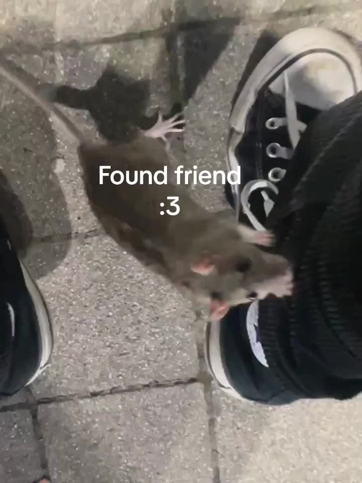 @schirmchen