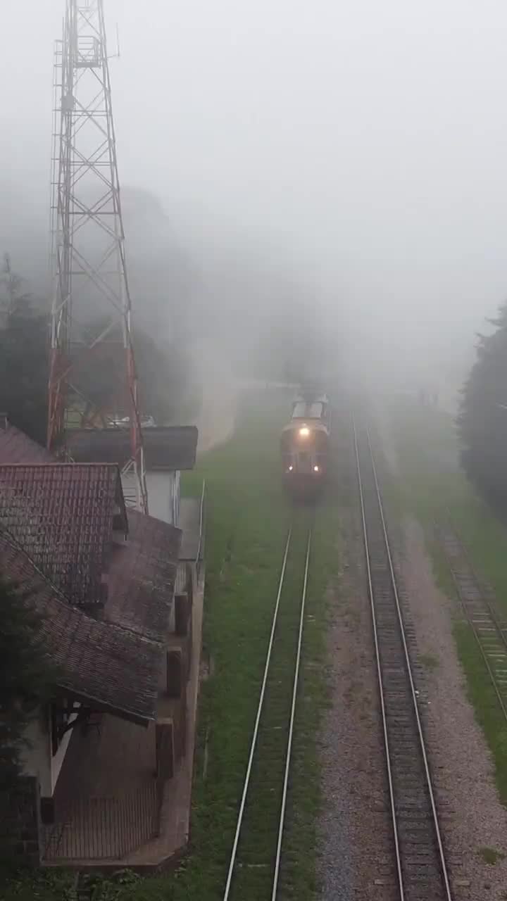 @yukihayashi552