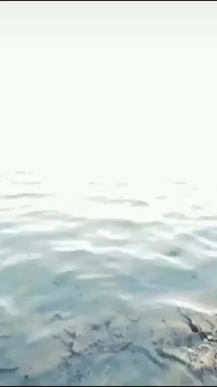 @Tetel941