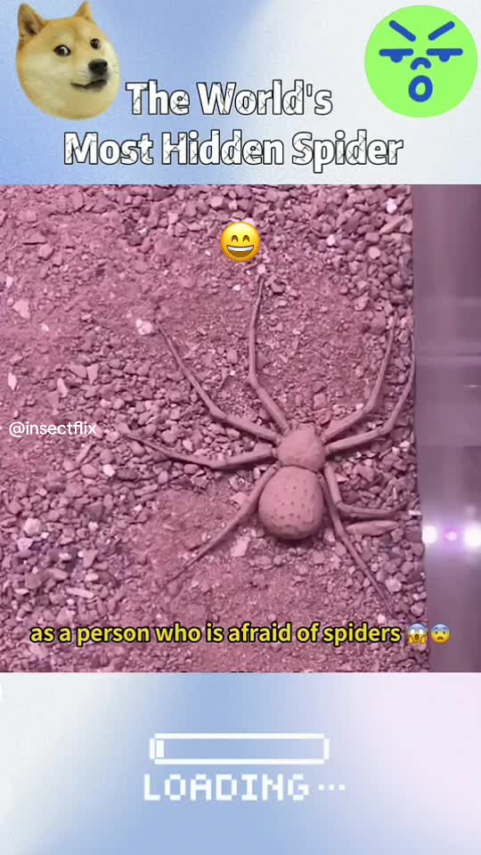 @InsectFlix