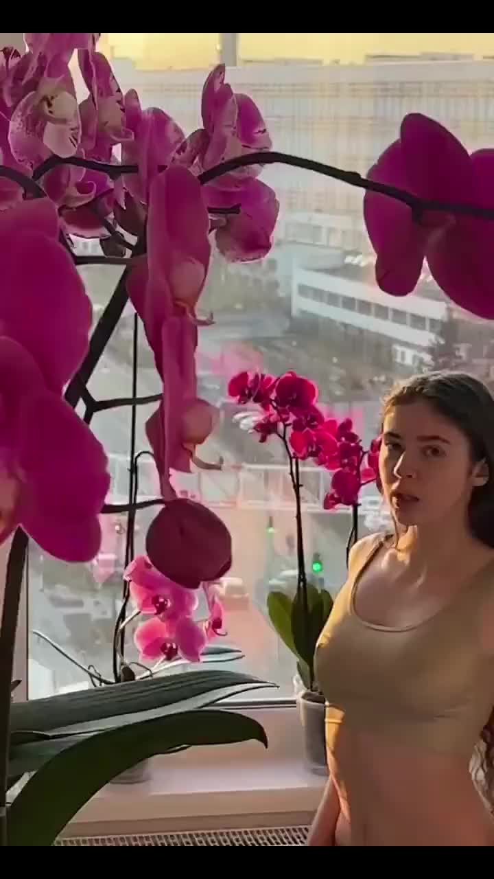 @STEF.DERI