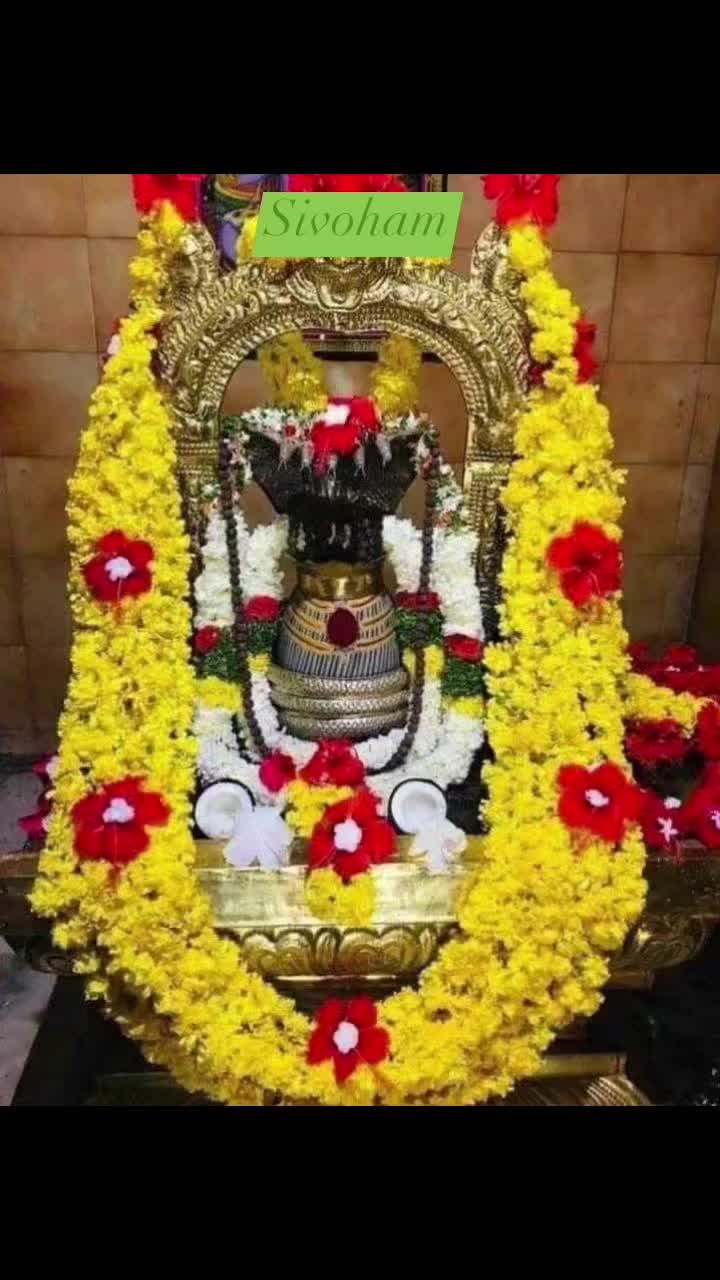 @Seenu Rao