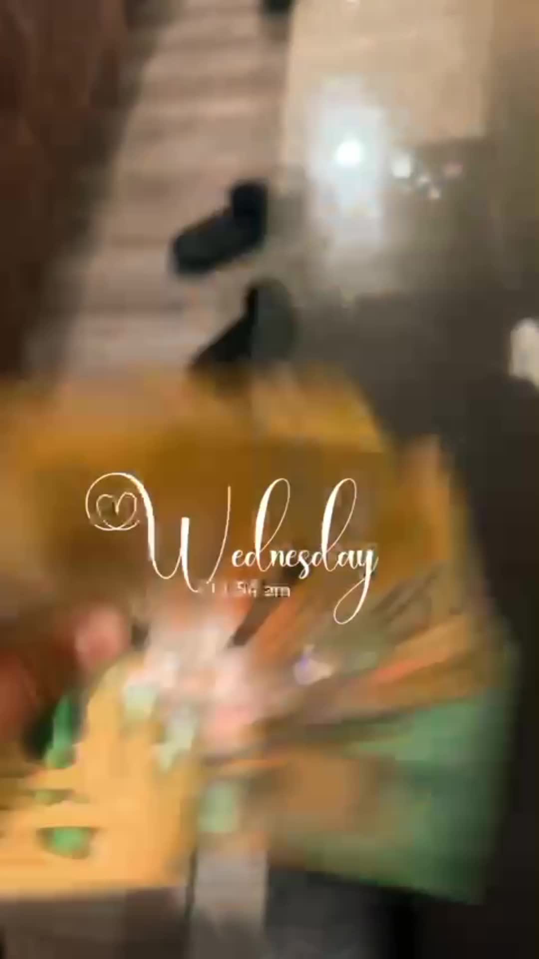 @𝑺𝒂𝒋𝒆𝒆𝒍 𝑯𝒂𝒊𝒅𝒆𝒓