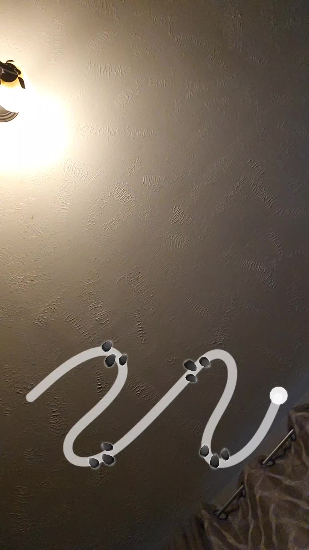 @Panda