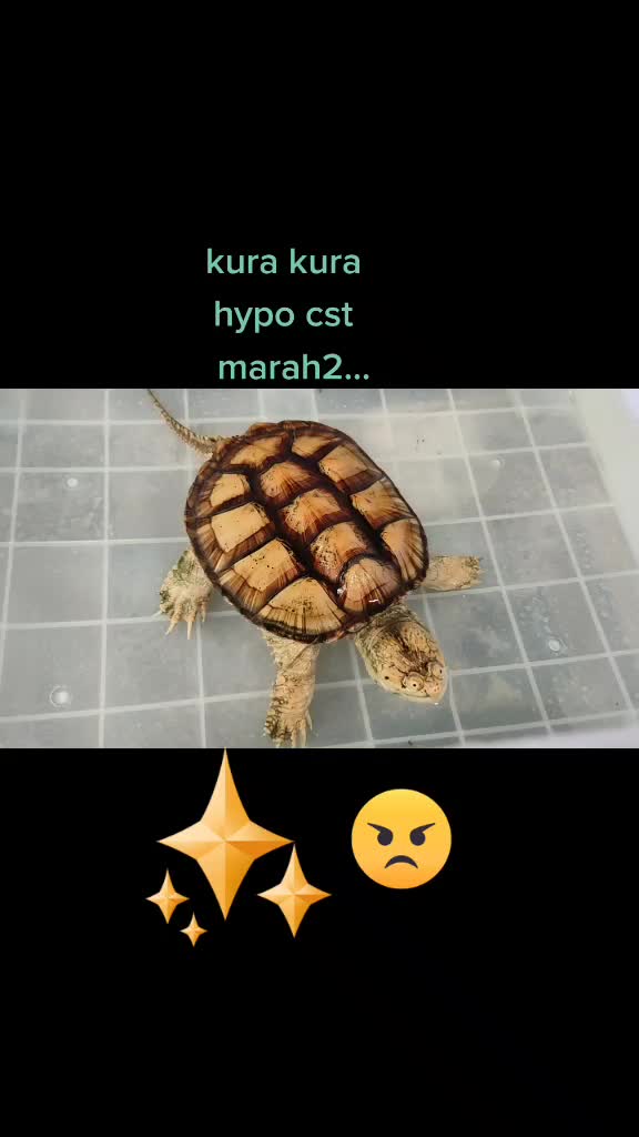 @Drg.Roby Kristiawan