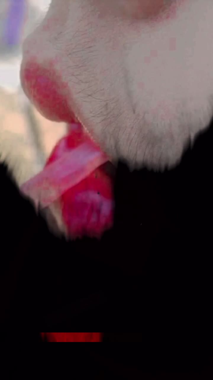 @💔(𝚕𝚢-𝚎𝚗-𝚜𝚖𝚘𝚔𝚎)🚬🥀