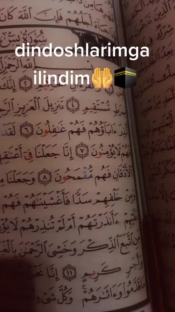 @sevgi