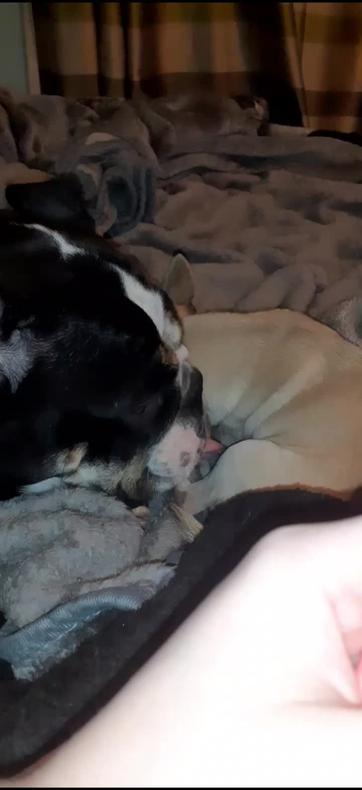 @threedogsanjenny