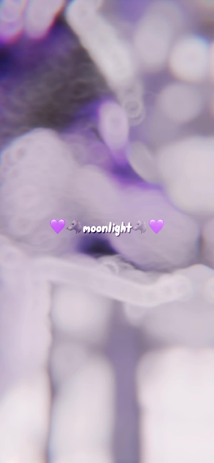 @💜🐺moonlight🐺💜