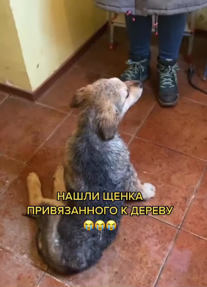 @КАРДАН ЖИВИ