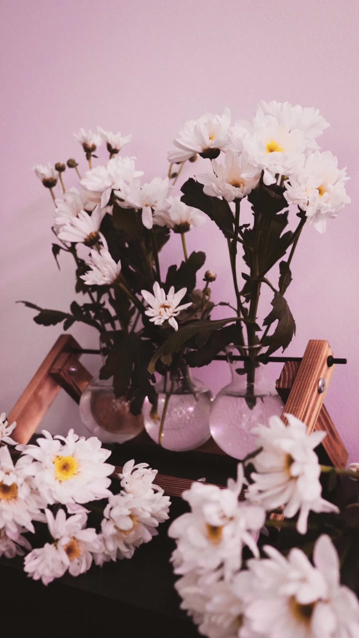 @Danaes Photography