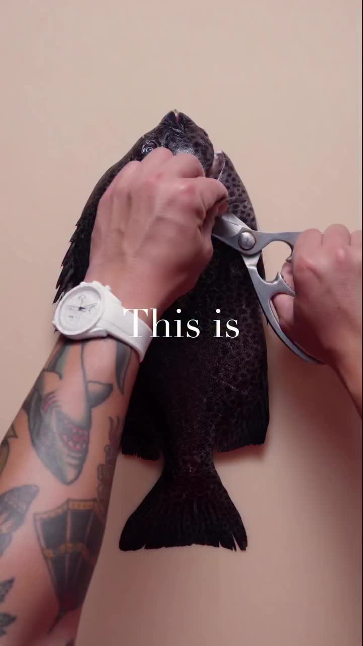@KnifeArt