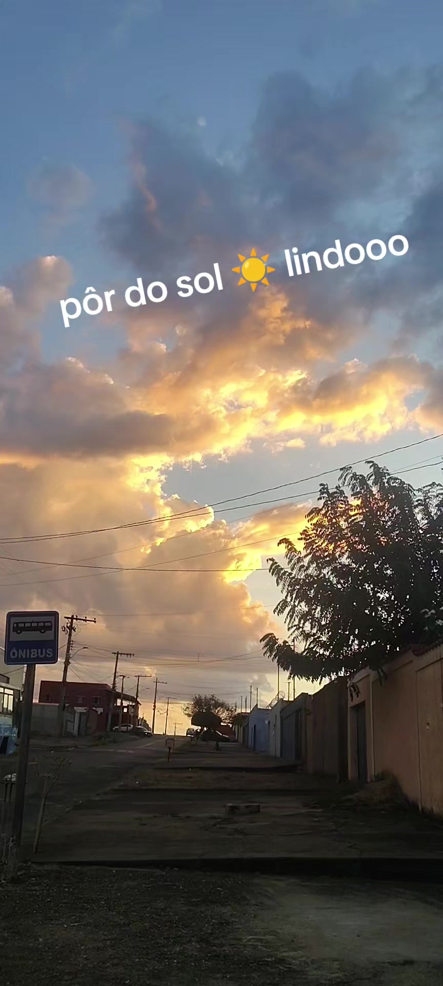 @aparecidamachado303