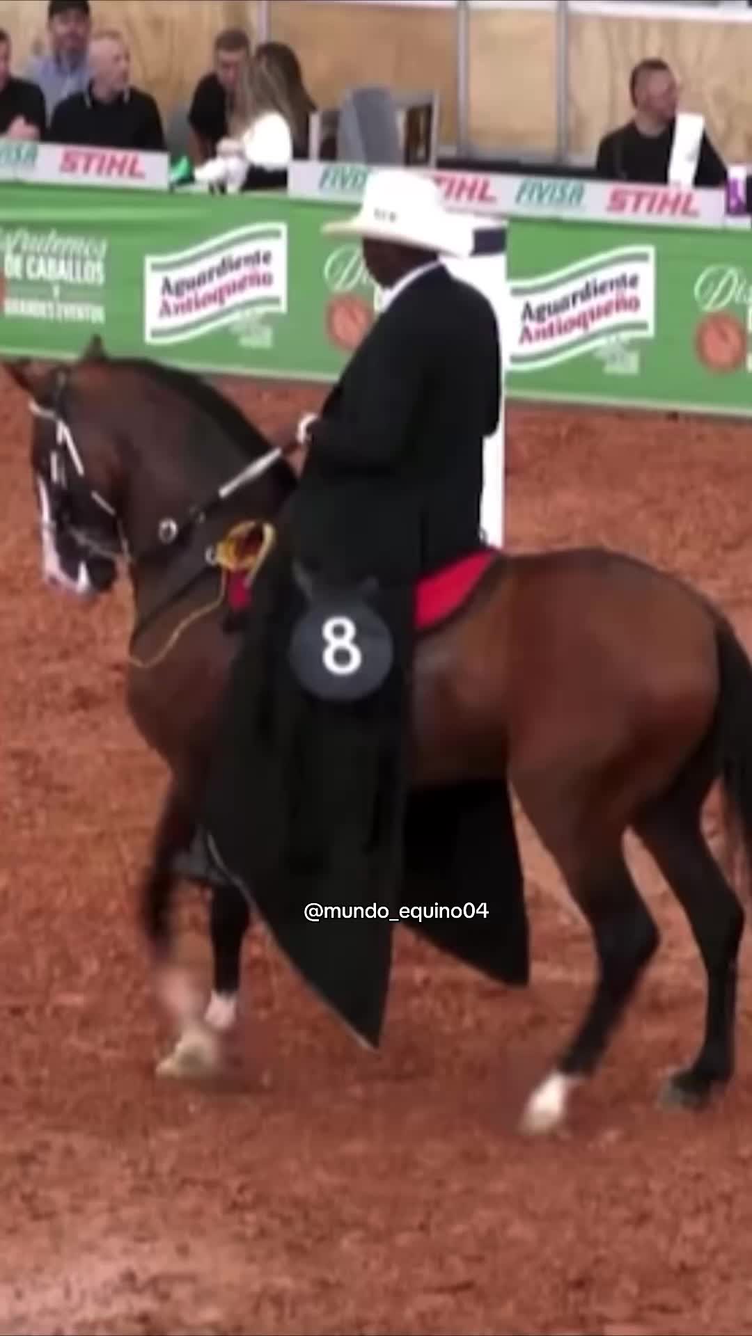 @mundo_equino04