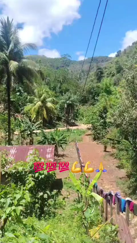 @yenny choc